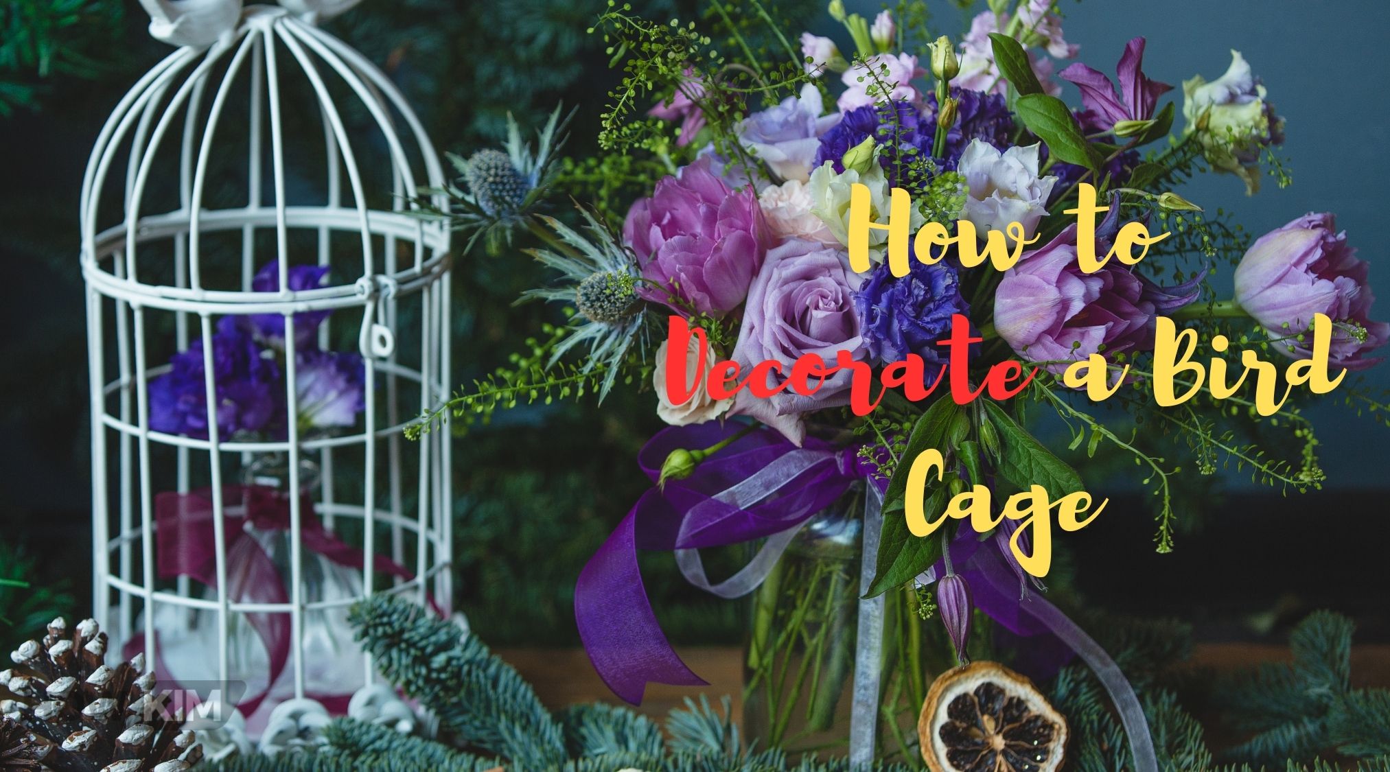 How to Decorate a Bird Cage