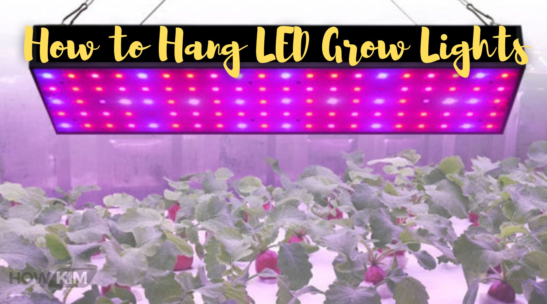 How to Hang LED Grow Lights: